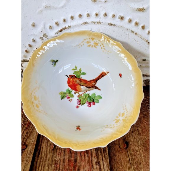 Vintage Germany Porcelain Bowl Robin Bird Lady Bug Fly - Picture 1 of 7